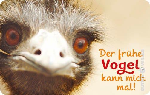 Nahaufnahme des Gesichts eines Emus, das seine charakteristischen Merkmale und ausdrucksstarken Augen zeigt.
