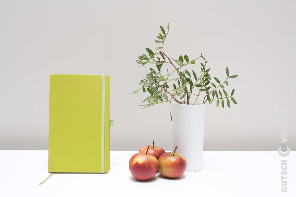 NOTIZBUCH aus Apfelresten/Hellgrün 100 Blatt, 200 Seiten kariert